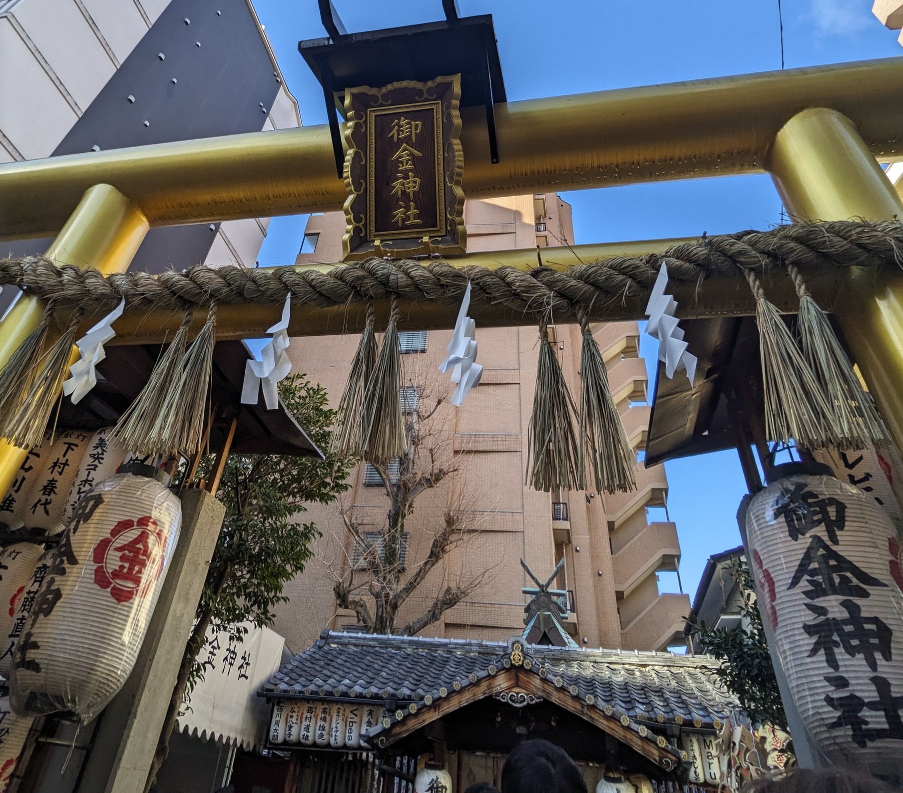 御金神社の鳥居。金色に輝く。